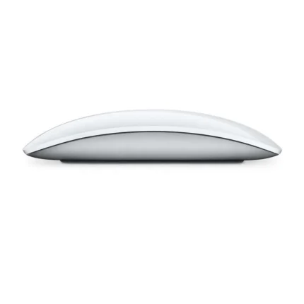 Apple Magic Mouse Type C With Multi Touch Surface - Silver