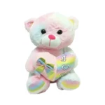 Soft Bear With Music 30cm
